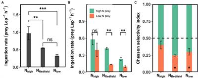 Selective Feeding of a Mixotrophic Dinoflagellate (Lepidodinium sp.) in Response to Experimental Warming and Inorganic Nutrient Imbalance